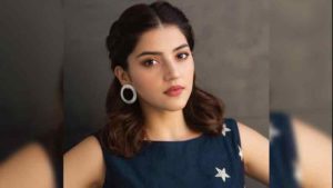 Mehreen Pirzada: ఫ్యామిలీ డాక్టర్ అంటే క్రష్ ఉండేది.. ఆసక్తికర విషయాలను చెప్పిన హీరోయిన్ మెహ్రీన్..