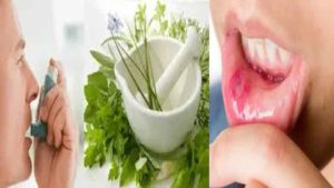 Home Made Health Tips: శ్వాసకోశ వ్యాధులు, నోటి సమస్యలు ఇబ్బంది పెడుతున్నాయా ఈ చిన్ని చిట్కాలు పాటించి చూడండి