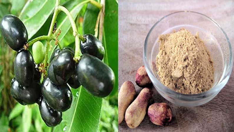 Jamun Seeds: నేరేడు పండు తిని.. గింజలను పడేస్తున్నారా.. అవి షుగర్ కు బెస్ట్ మెడిసిన్ అనే విషయం మీకు తెలుసా | Surprising health benefits of jamun kernels | TV9 Telugu