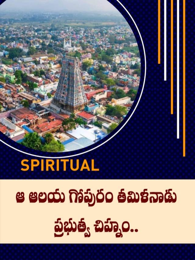 ఆ ఆలయ గోపురం తమిళనాడు ప్రభుత్వ చిహ్నం..