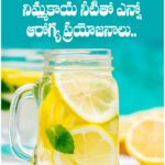నిమ్మకాయ నీటితో ఎన్నో ఆరోగ్య ప్రయోజనాలు..