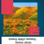 భూమిపై పువ్వుల హరివిల్లు… కొండల నడుమ రంగుల పూల తివాచీ ఎక్కడుందో తెలుసా..