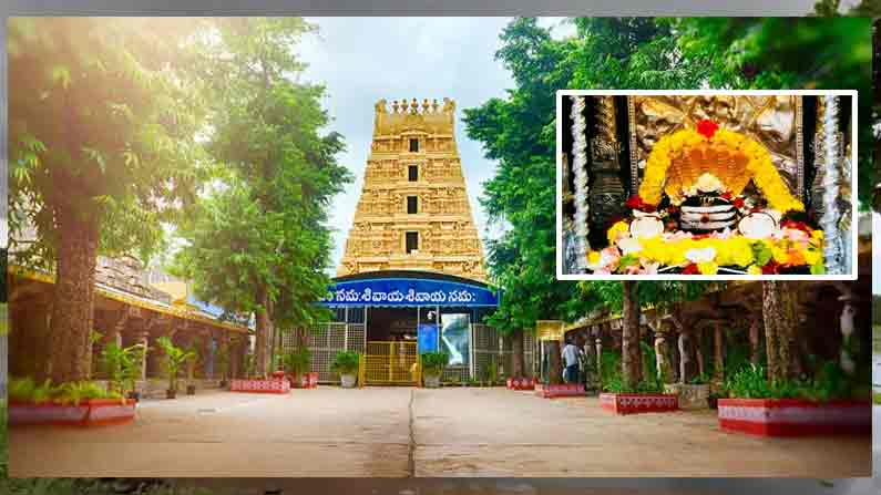 Srisialam Temple: శ్రీశైలం మల్లన్న భక్తులకు శుభవార్త.. ఇవాళ్టి నుంచి  సర్వదర్శనానికి అనుమతి | Srisailam Mallanna Kshetra Darshan will be open to  devotees from Today | TV9 Telugu
