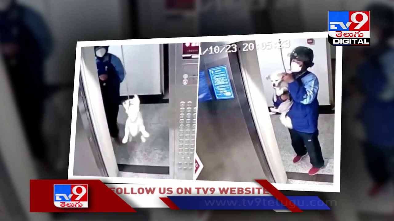 Viral Video కుక్క ప్రాణాన్ని కాపాడిన డ్రైవర్ !! వీడియో వైరల్