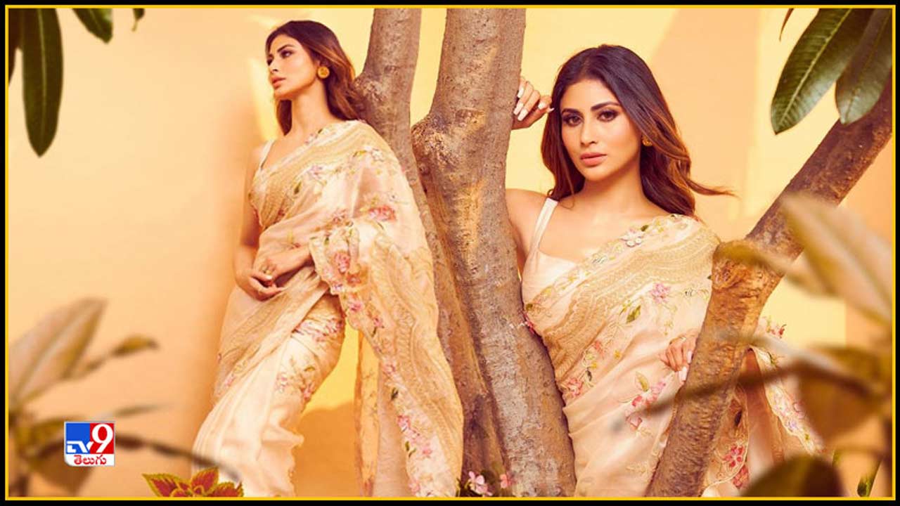 Mouni Roy: ‘Nagini’ Beauty Wedding Moment Fix! Mouni Roy to tie the knot with Dubai based businessman on this date – filmyzoo