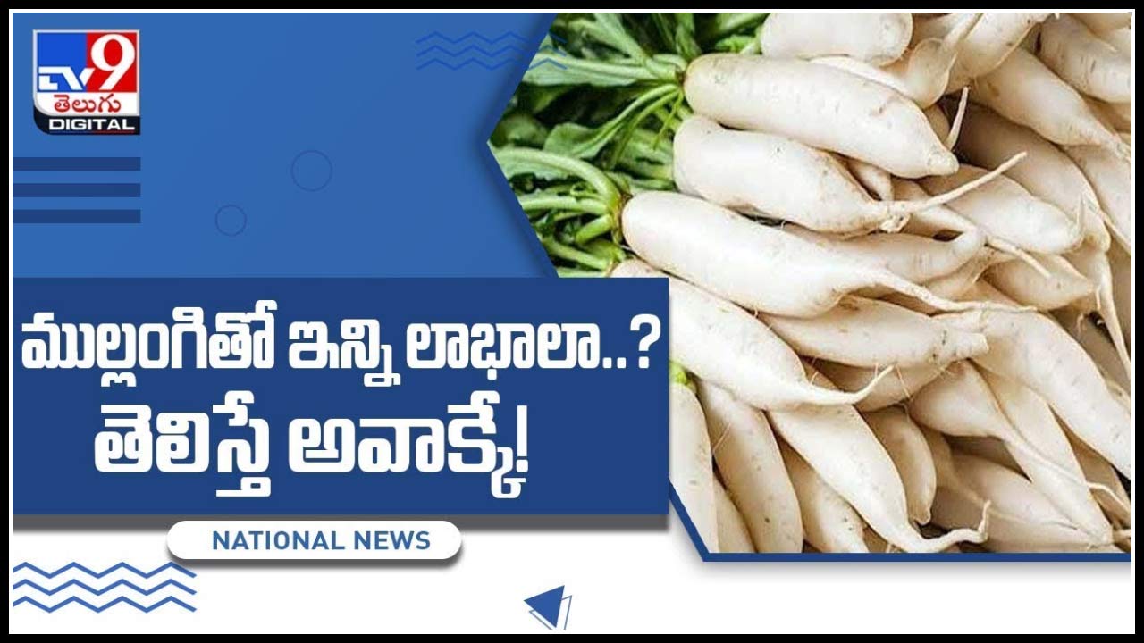 Radish Benefits ముల్లంగితో అధిక ఆరోగ్యప్రయోజనాలు.. మరీ ఇన్ని లాభాలా