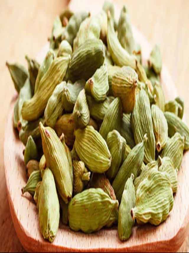 Cardamom యాలకులు ఎక్కువగా వాడుతున్నారా.. TV9 Telugu Cardamom