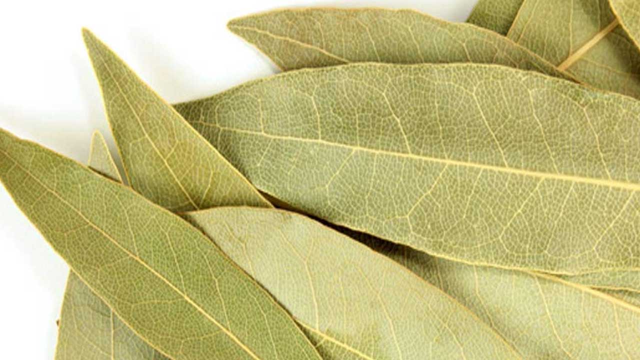 Bay Leaves Benefits: బిర్యానీ ఆకు ఎక్కువగా వాడుతున్నారా.. అయితే ఈ విషయాలు  తెలుసుకోండి.. - Telugu News | Benefits of bay leaves biryani leaves the  panacea for these diseases | TV9 Telugu