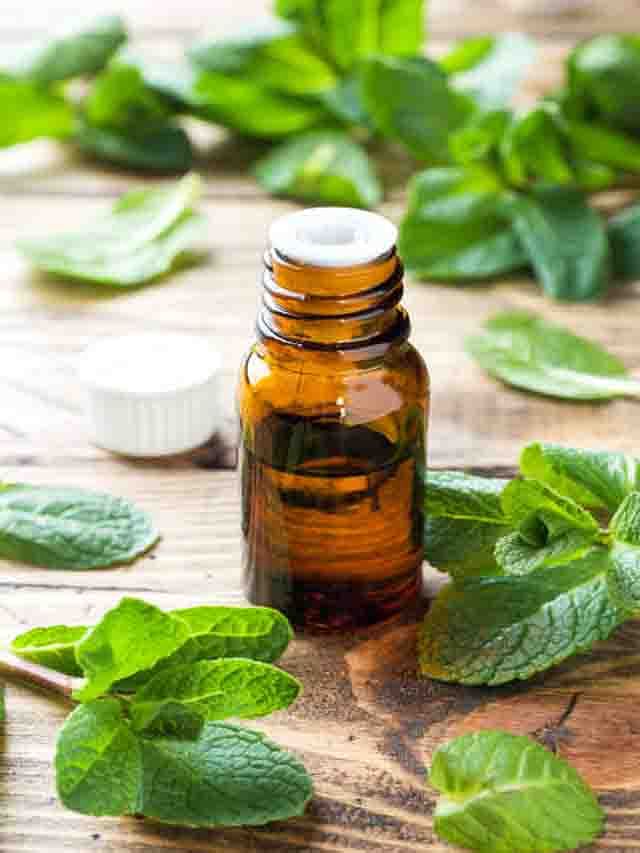 పుదీనా తైలంతో అదిరిపోయే లాభాలు.. తెలిస్తే షాకవ్వాల్సిందే.. TV9 Telugu