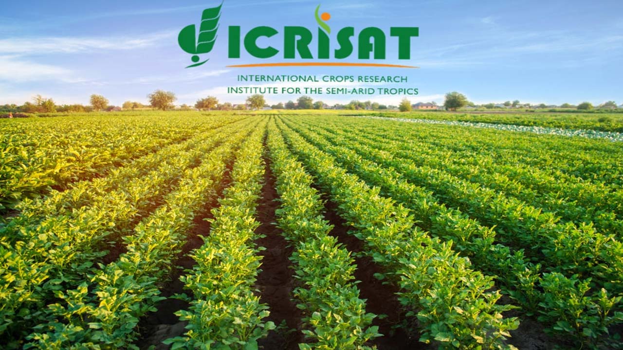 ICRISAT Patancheru Jobs 2022 బీఈ/బీటెక్‌ అర్హతతో పటాన్‌చెరులోని