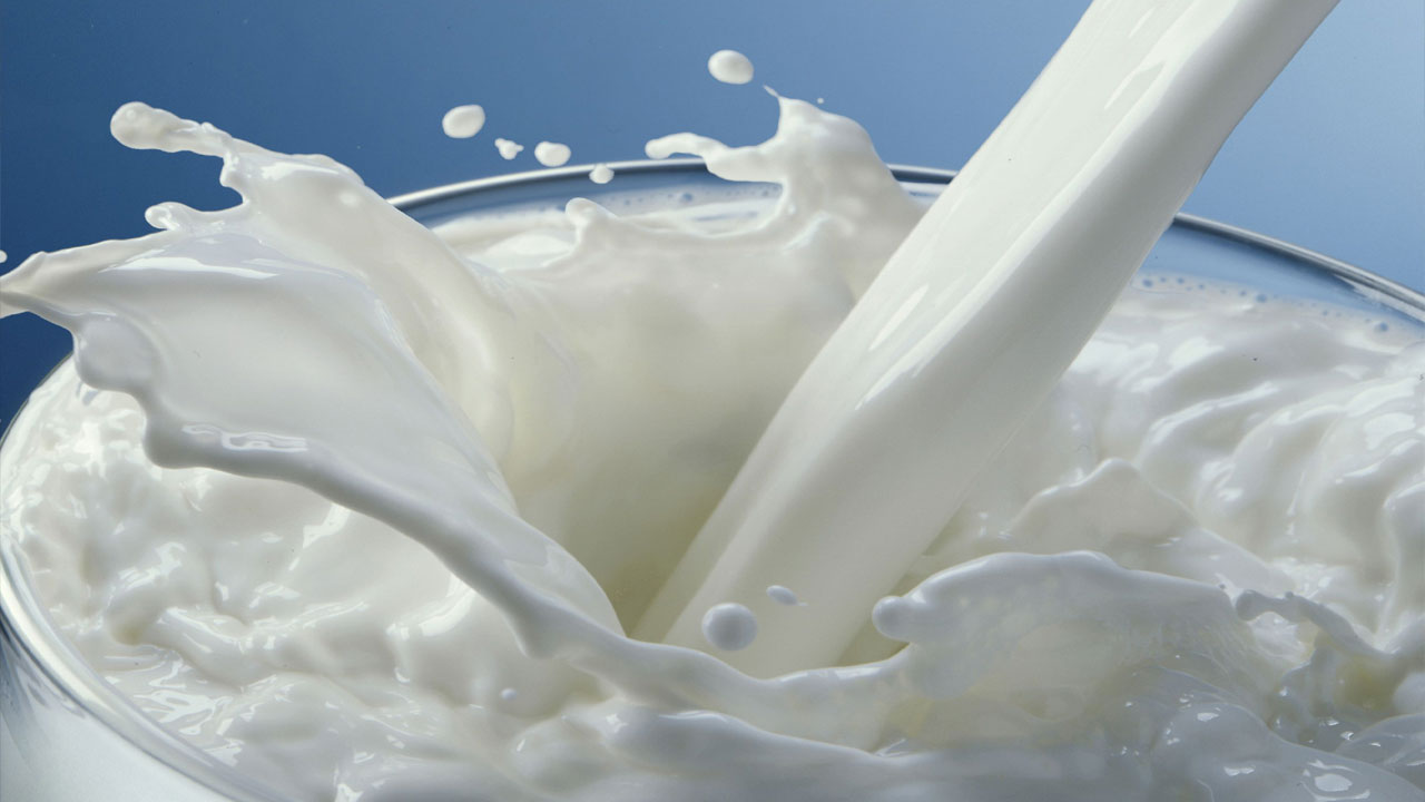 Milk Substitutes Don't like drinking milk..? But.. take these seven ingredients regularly
