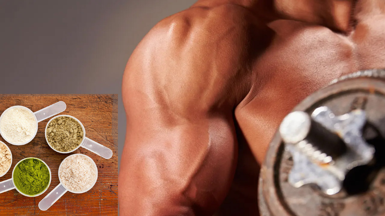 Protein Powder If you want to a muscular hero.. eat homemade protein powder.. how to do