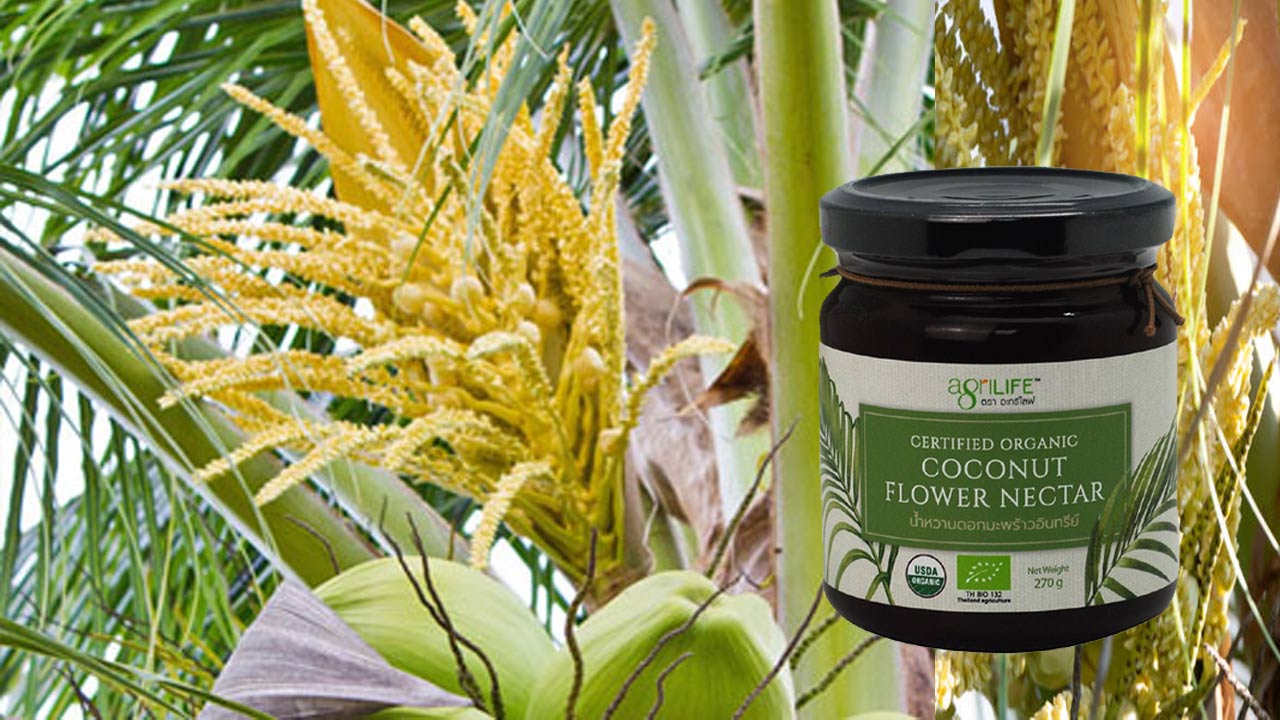 Coconut Flower Nectar షుగర్ పేషేంట్స్‌కు బెస్ట్ స్వీటెనర్‌ కొబ్బరి