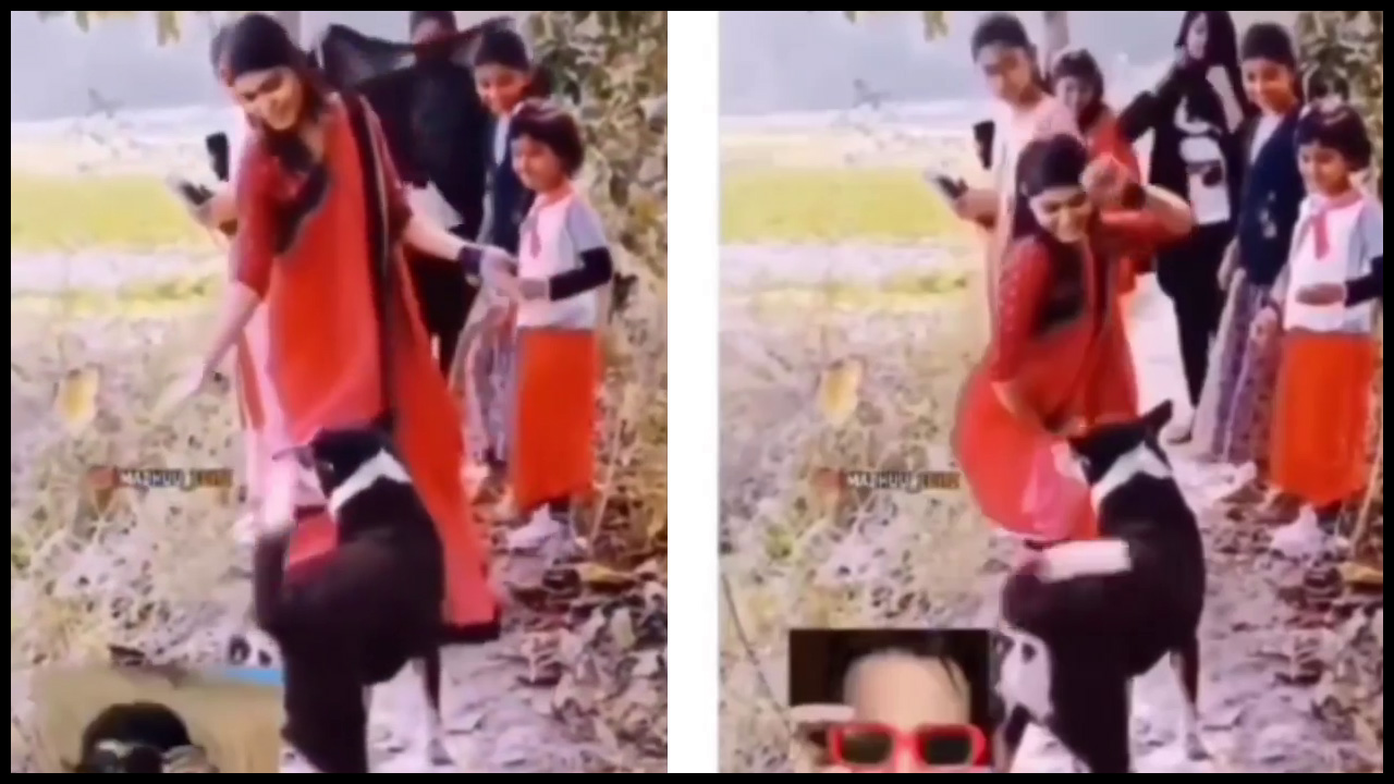 Viral Video అరే ఏంట్రా ఇది.! కుక్కను ఇంప్రెస్ చేసేందుకు యువతి డ్యాన్స్