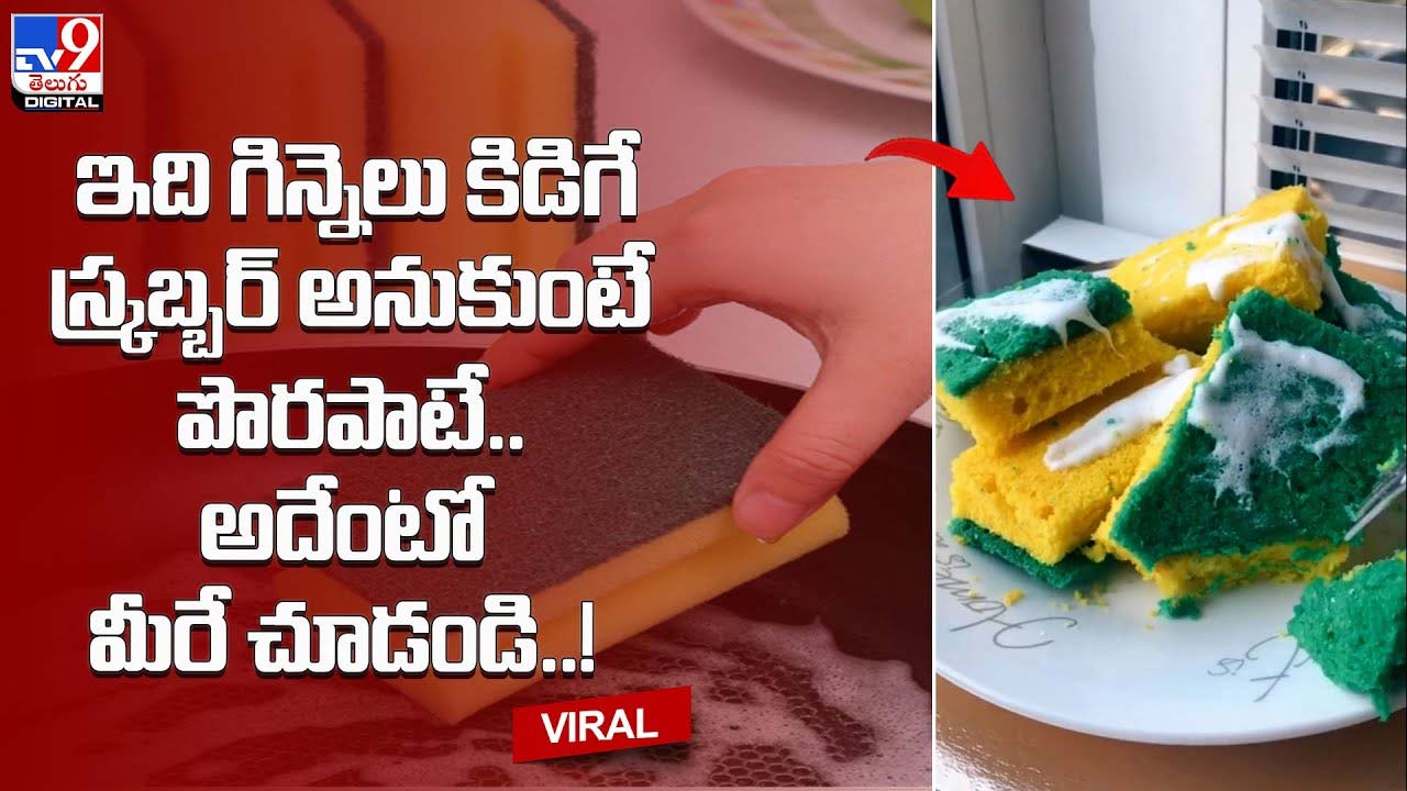 ఇది గిన్నెలు కడిగే స్క్రబ్బర్ అనుకుంటే పొరపాటే.. అదేంటో మీరే చూడండి