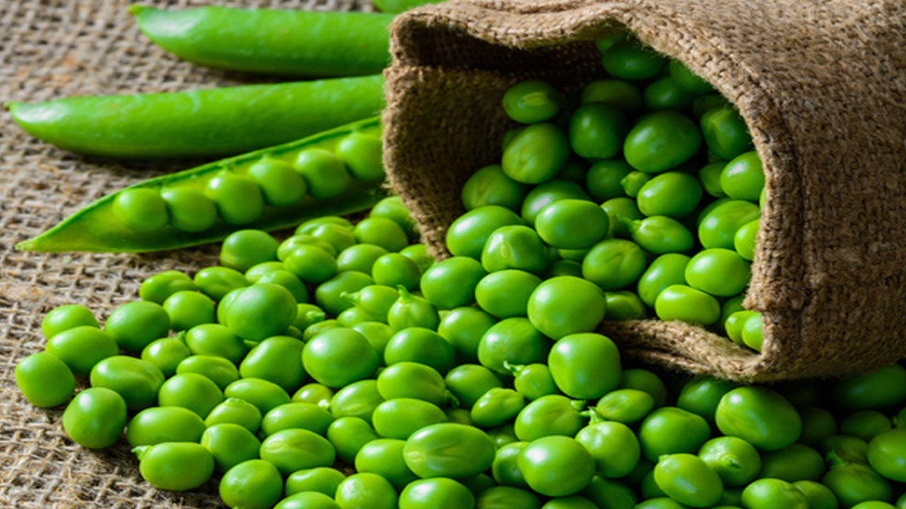 Pea Benefits Ample health benefits of green peas. HowTo News