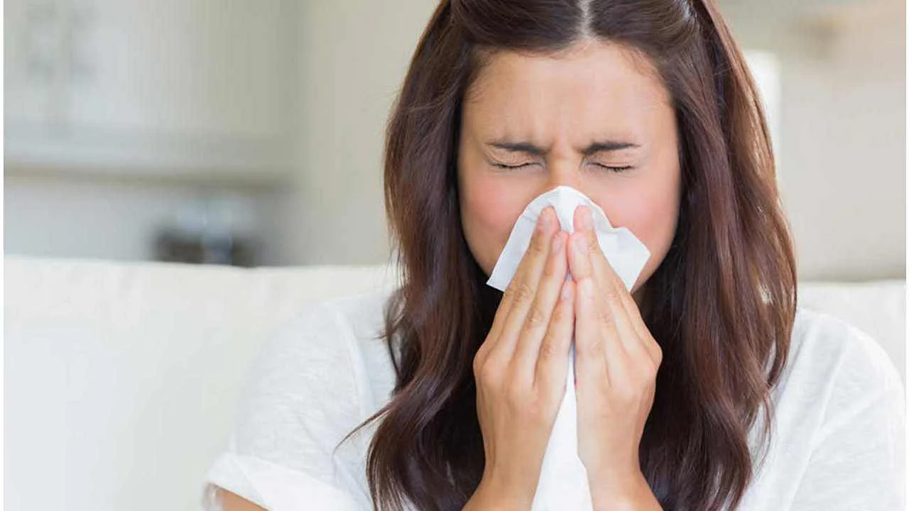 Blocked Nose చలికాలంలో ముక్కు దిబ్బడతో ఇబ్బంది పడుతున్నారా? ఈ సింపుల్