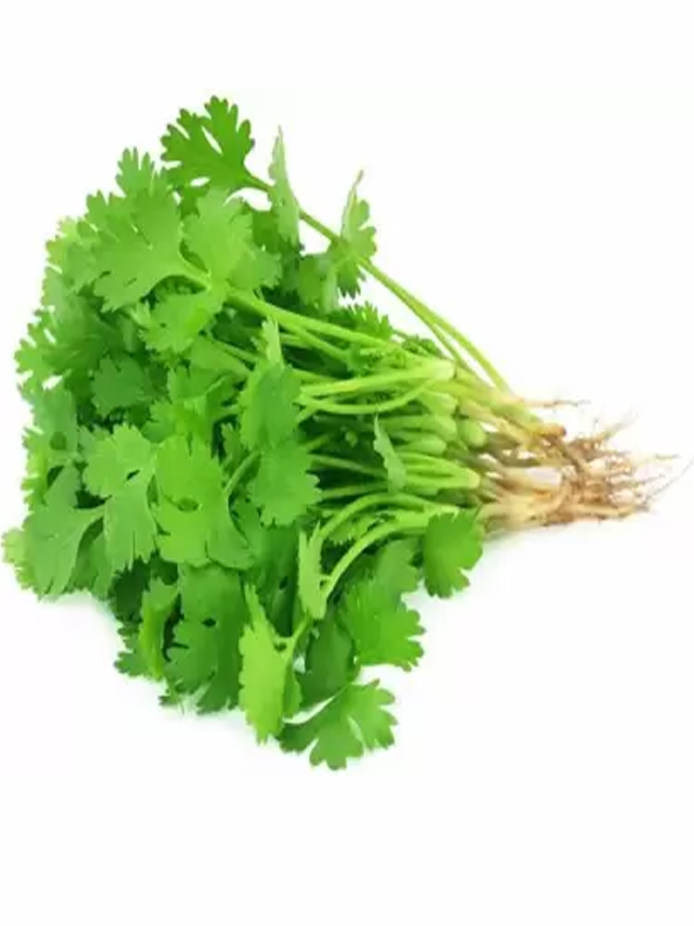 Coriander In Telugu at Jimmy Johnson blog