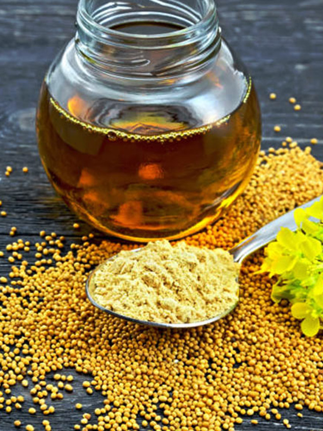 చలికాలంలో ఆవాల నూనె బెస్ట్ ఎంపిక ఎందుకంటే.. TV9 Telugu Why Should