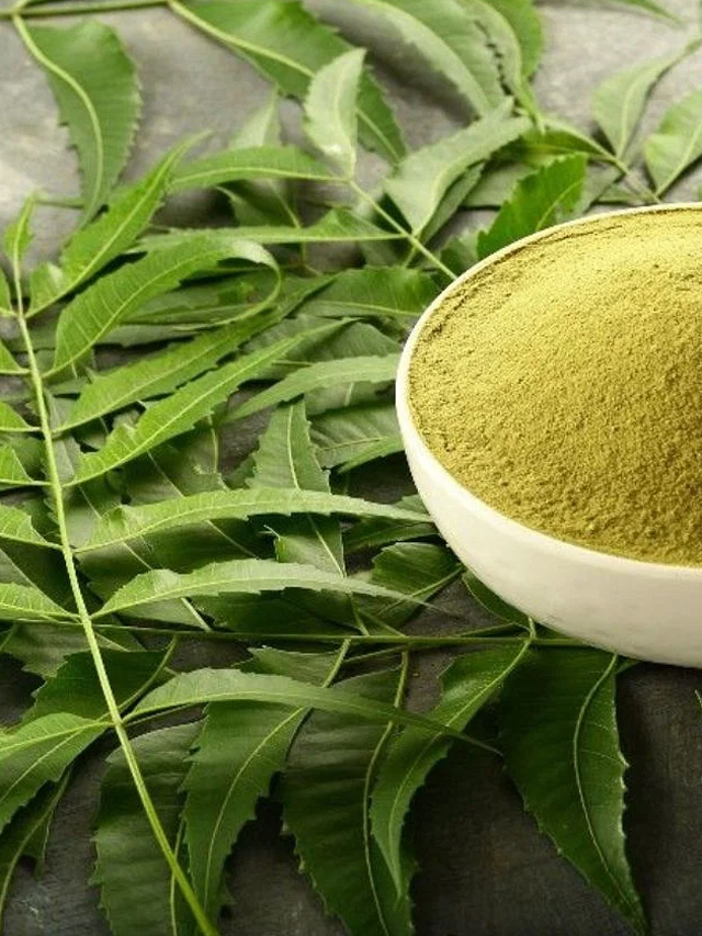 వేప ఆకులలో అద్భుత ఔషధ గుణాలు.. ఆరోగ్య సమస్యలకి చక్కటి నివారణ..! TV9 Telugu Health Benefits