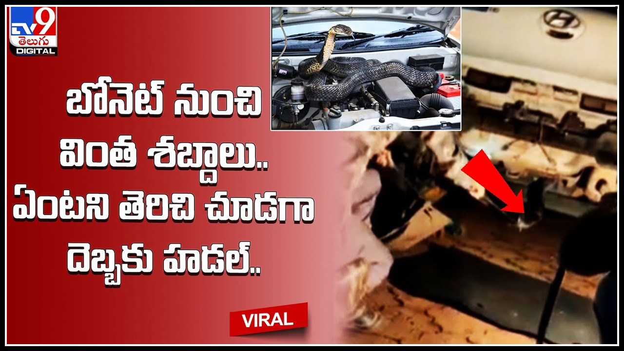 Car బోనెట్ నుంచి వింత శబ్దాలు.. ఏంటని తెరిచి చూడగా దెబ్బకు హడల్