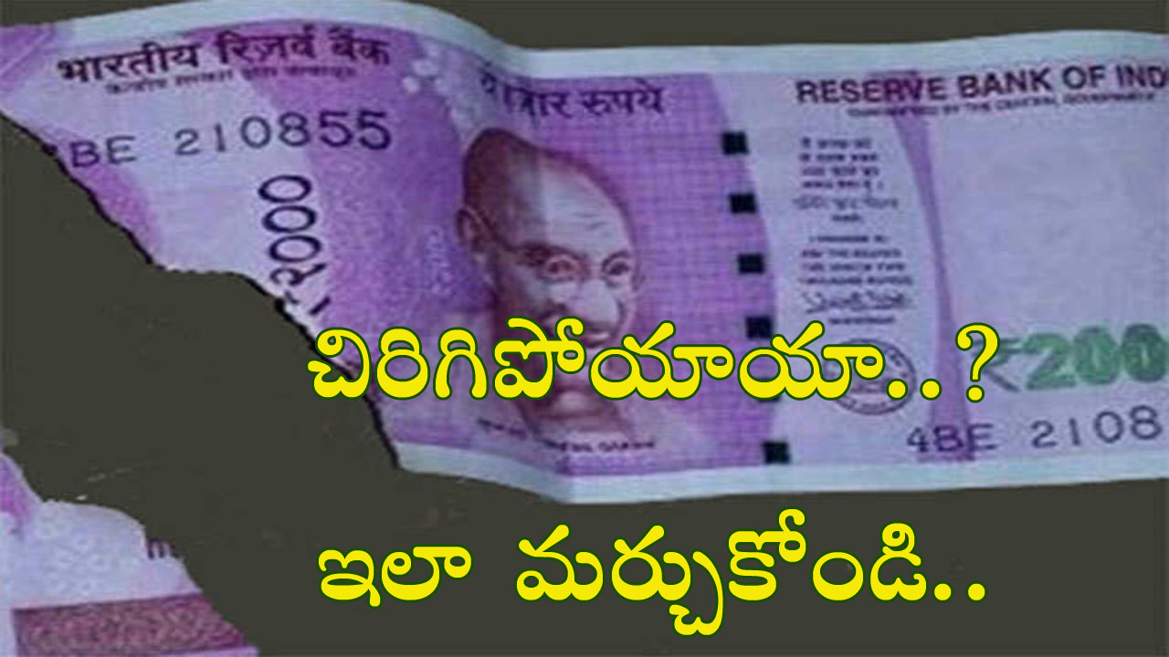 Don t Worry About Torn Currency Notes How To Forget New Notes 